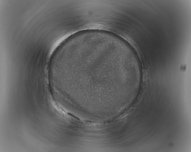 X0000111651120200908071401