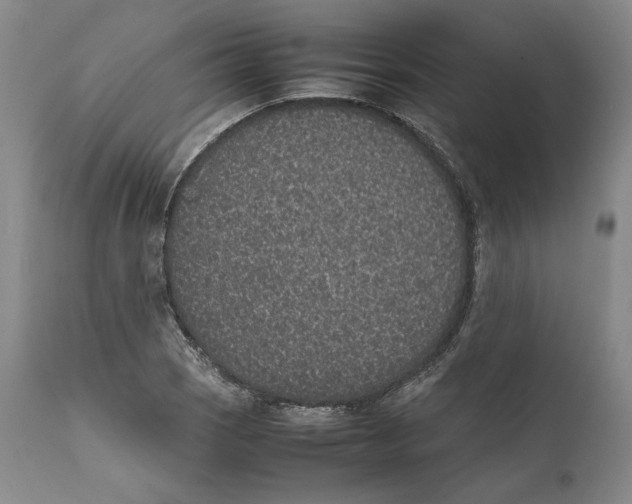 X0000111651121200908071401