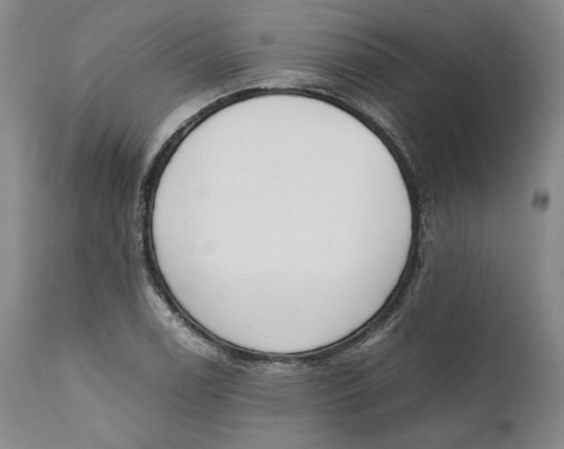 X0000111651122200908071401