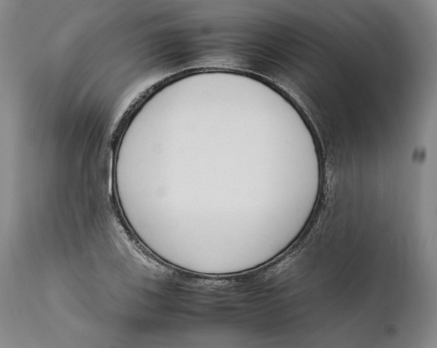 X0000111651123200908071401