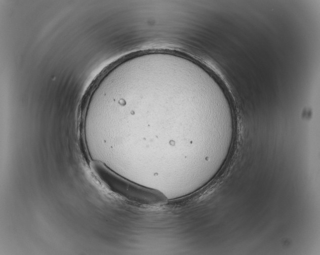 X0000111651124200908071401