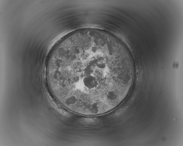 X0000111651125200908071401