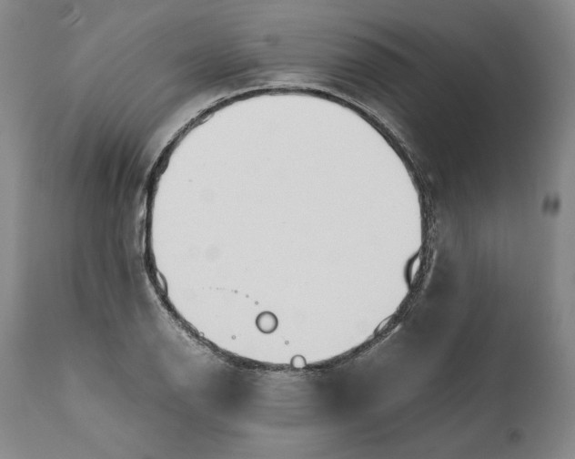 X0000111651126200908071401
