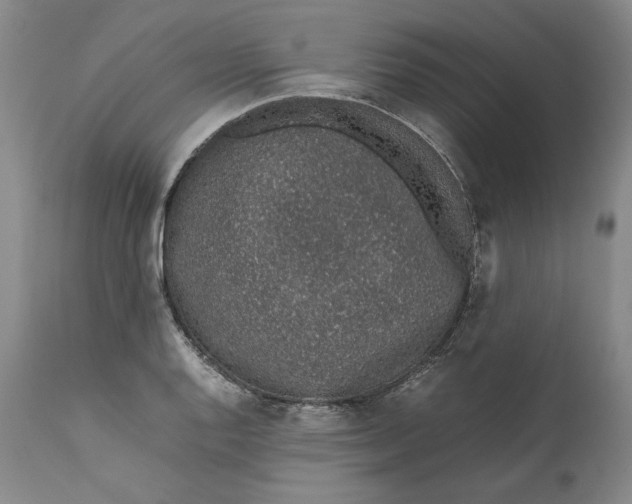 X0000111651128200908071401