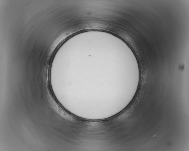 X0000111651130200908071401