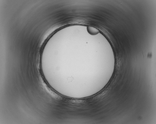 X0000111651131200908071401