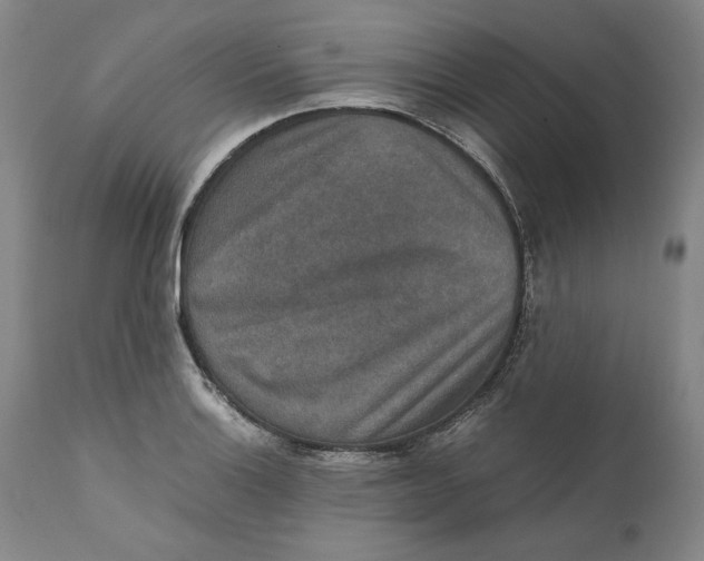 X0000111651132200908071401