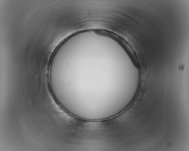 X0000111651134200908071401