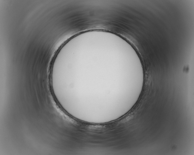 X0000111651135200908071401
