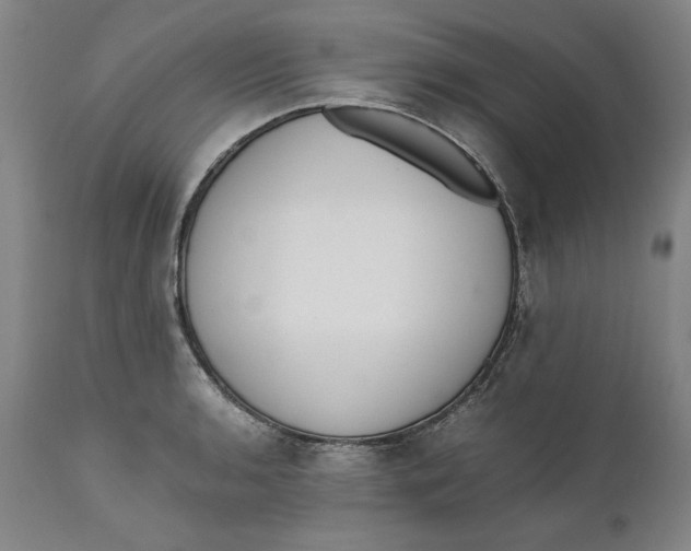 X0000111651136200908071401