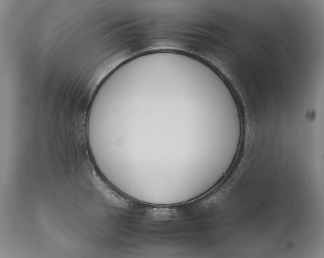 X0000111651137200908071401