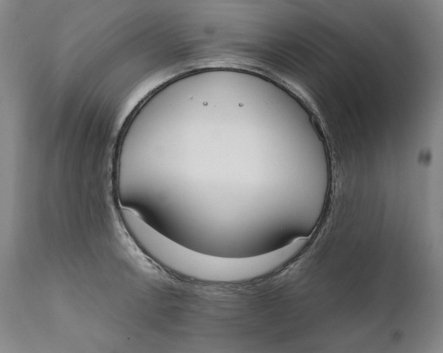 X0000111651138200908071401