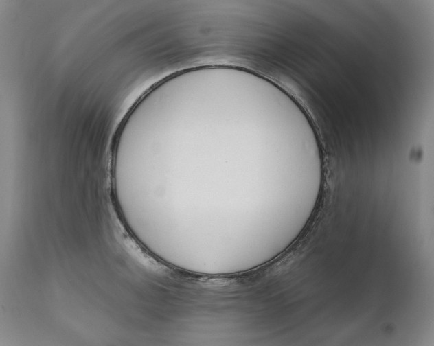 X0000111651140200908071401