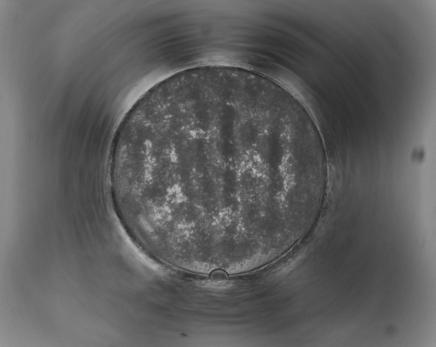 X0000111651141200908071401
