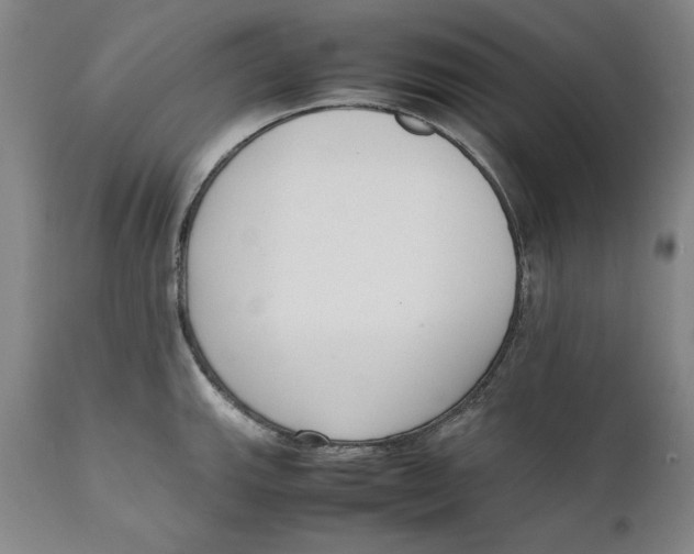 X0000111651143200908071401