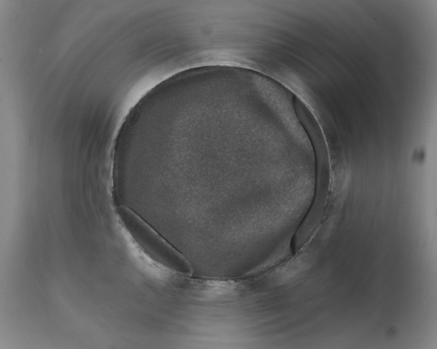 X0000111651144200908071401