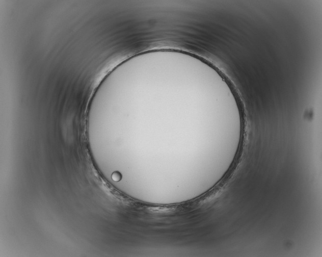 X0000111651145200908071401