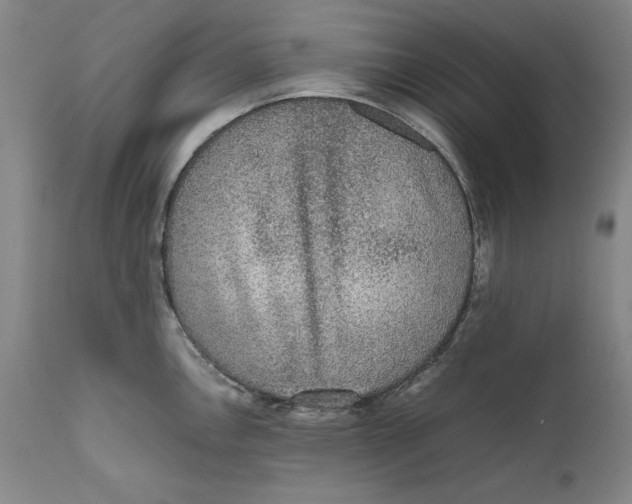 X0000111651146200908071401