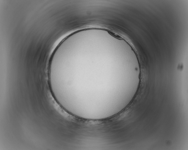 X0000111651148200908071401