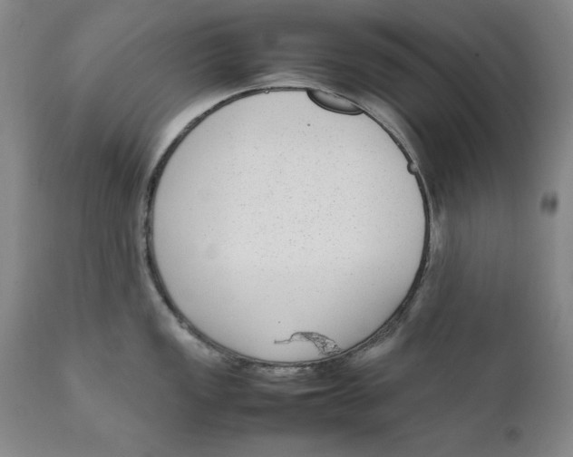 X0000111651149200908071401