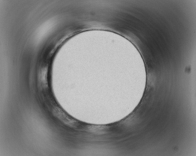 X0000111651150200908071401