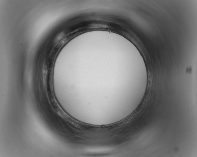 X0000111651151200908071401