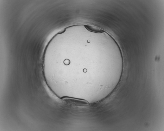 X0000111651152200908071401