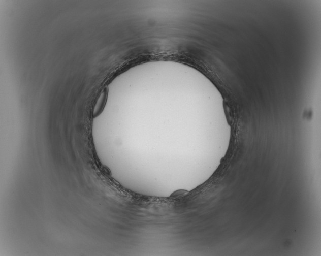X0000111651153200908071400