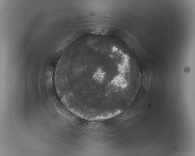 X0000111651154200908071400