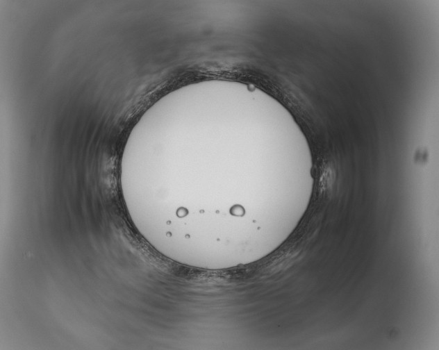 X0000111651156200908071400