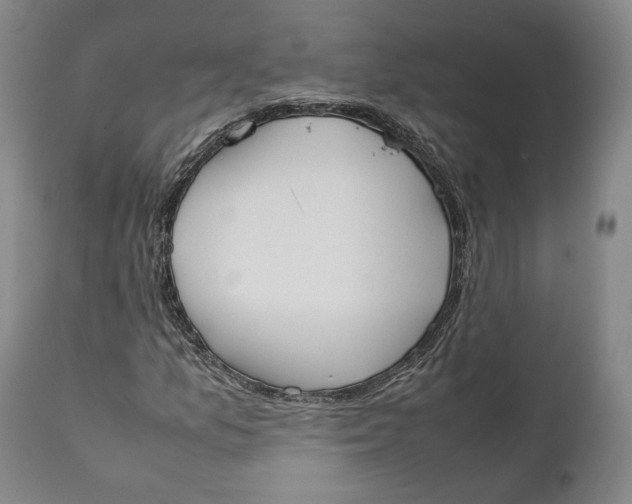 X0000111651157200908071400