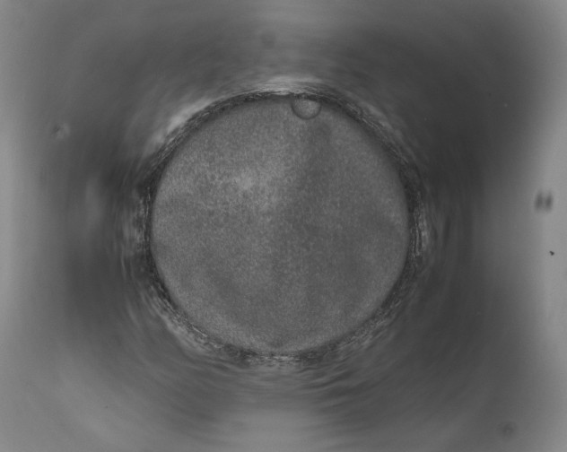 X0000111651158200908071400