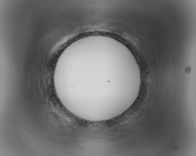 X0000111651159200908071400