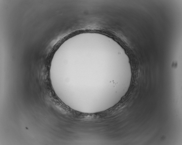 X0000111651160200908071400