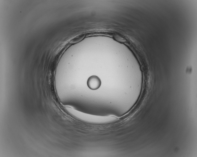 X0000111651161200908071400