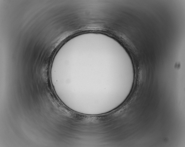 X0000111651162200908071400