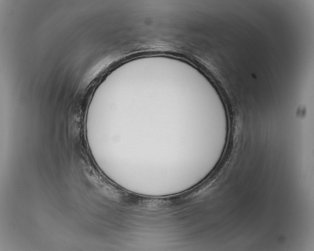 X0000111651163200908071400