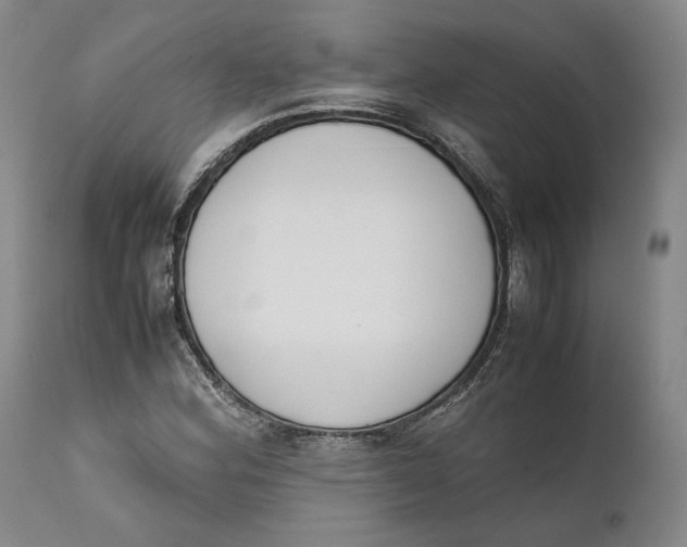 X0000111651164200908071400