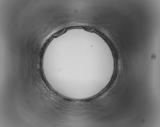X0000111651165200908071400