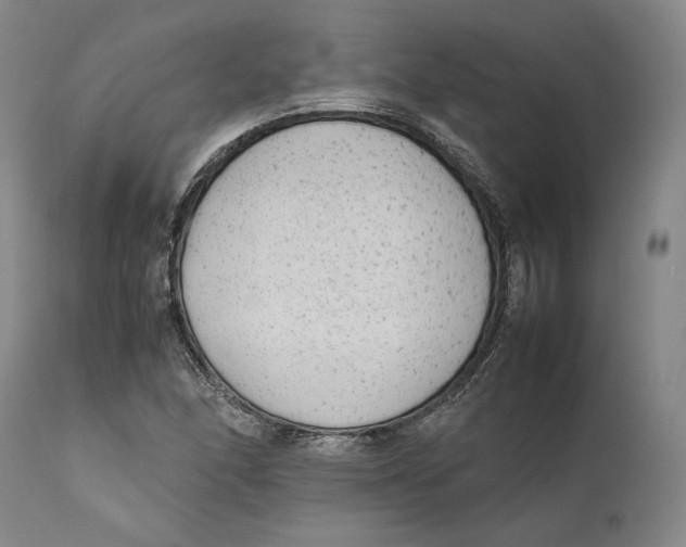 X0000111651166200908071400