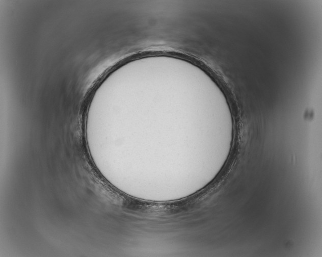 X0000111651167200908071400