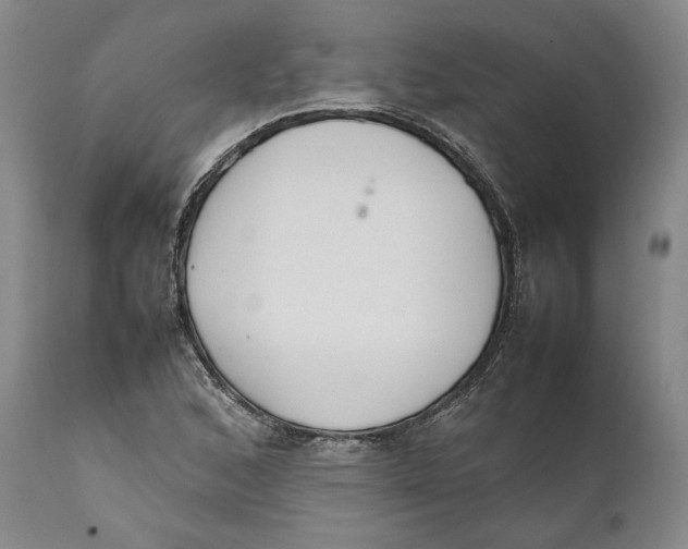X0000111651168200908071400