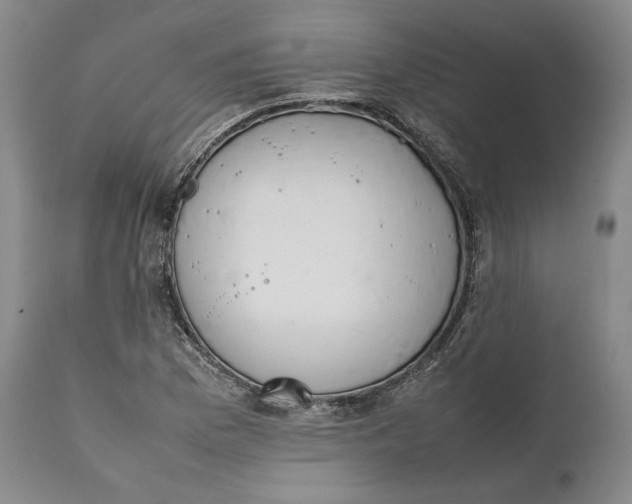 X0000111651169200908071400