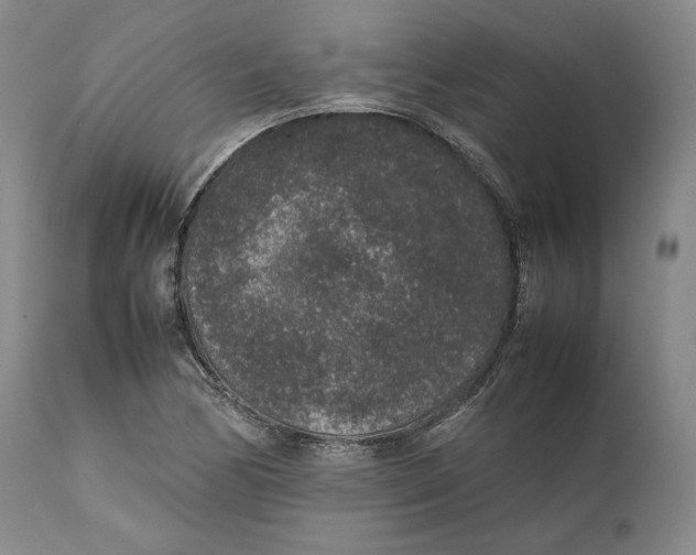 X0000111651170200908071400