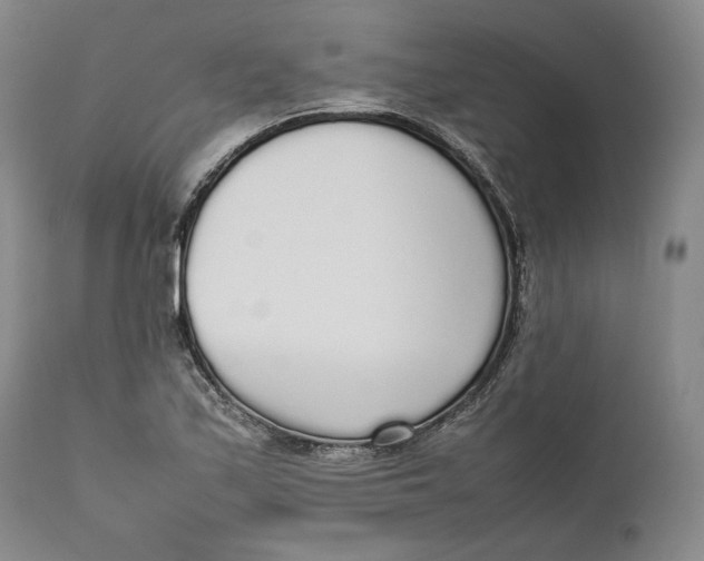 X0000111651171200908071400