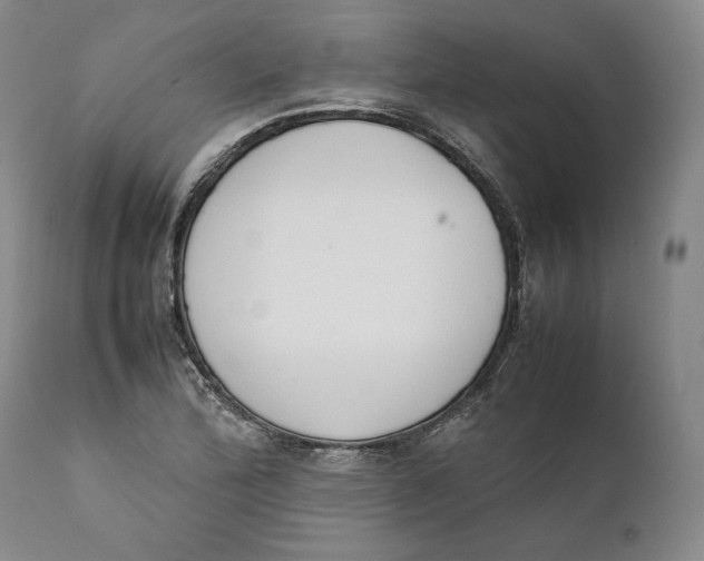 X0000111651172200908071400