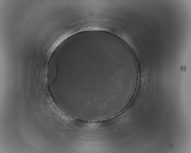 X0000111651173200908071400