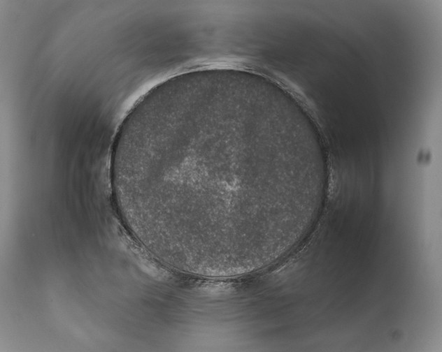 X0000111651174200908071400