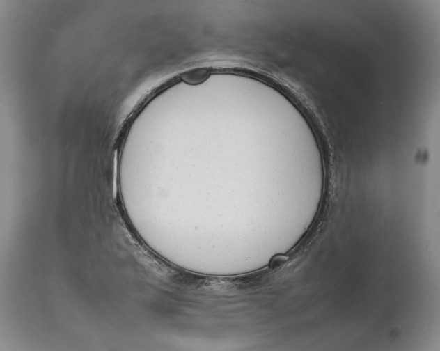 X0000111651175200908071400