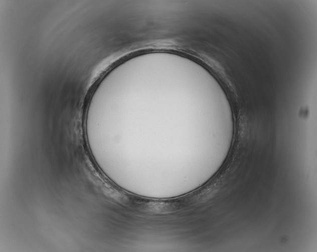 X0000111651176200908071400